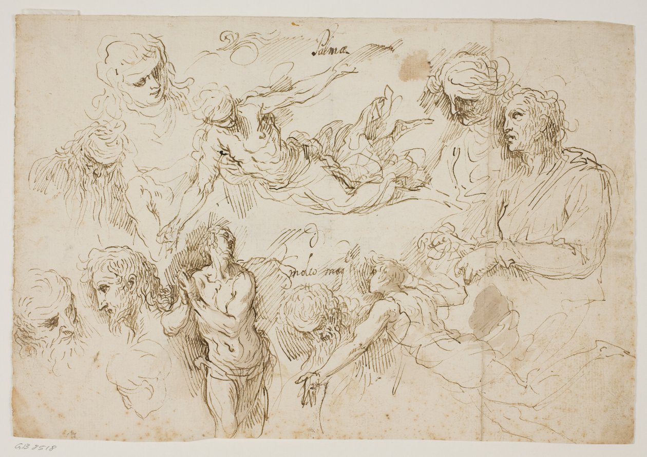 Arkusz studiów postaci autorstwa Jacopo Palma