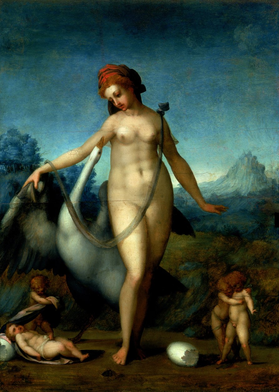Leda i łabędź, c.1512-13 (panel) autorstwa Jacopo Pontormo