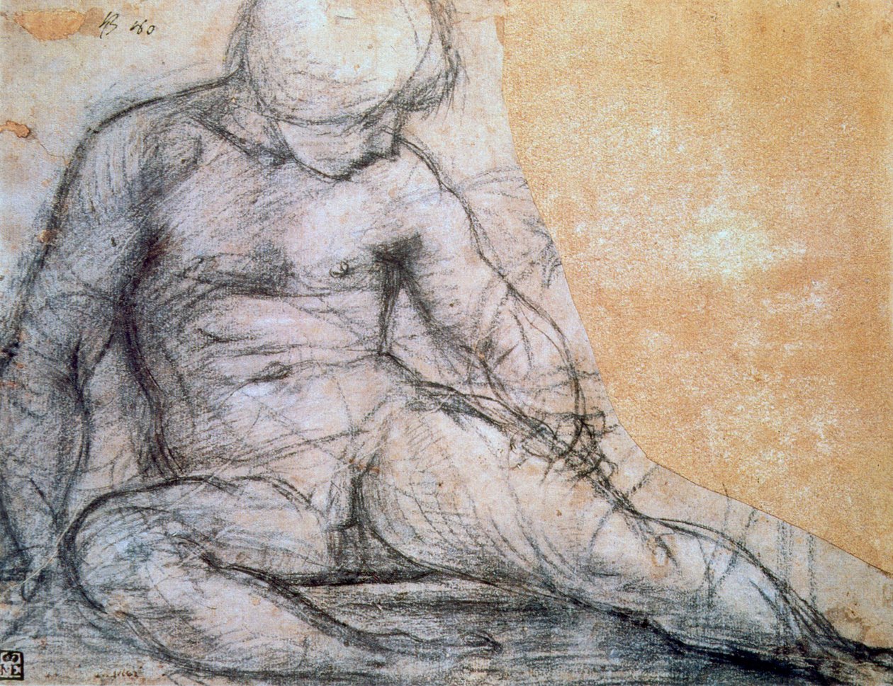 Siedzący chłopiec, c1514-1557 autorstwa Jacopo Pontormo