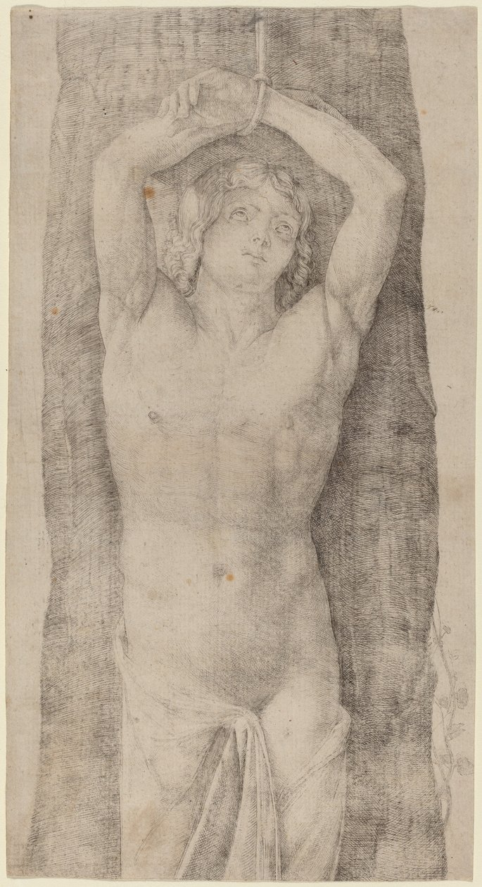 Św. Sebastian, ok. 1509. autorstwa Jacopo de Barbari