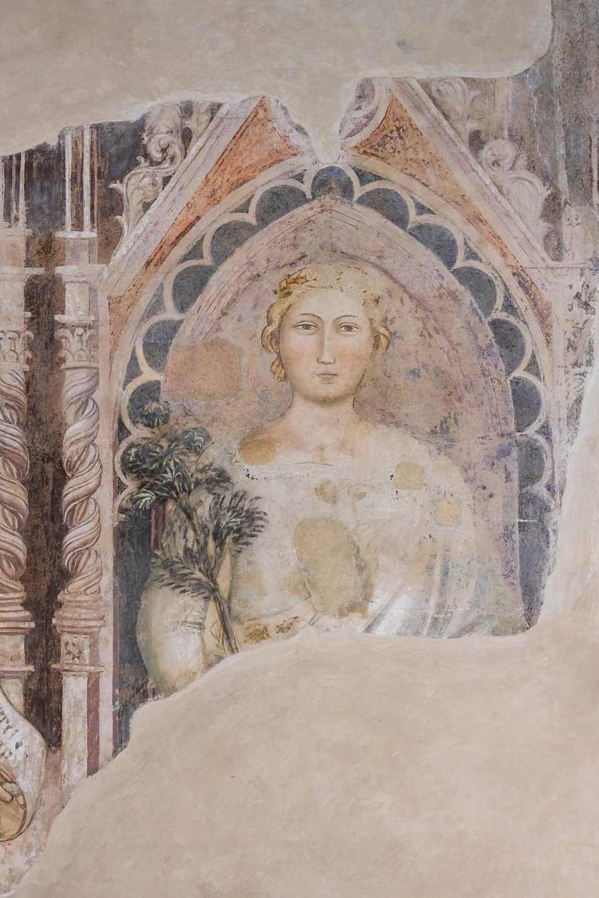 Alegoria dialektyki (fresk) autorstwa Jacopo di Cione