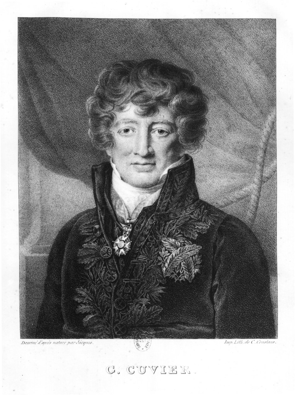 Portret Georgesa Cuviera (1769-1832) autorstwa Jacques