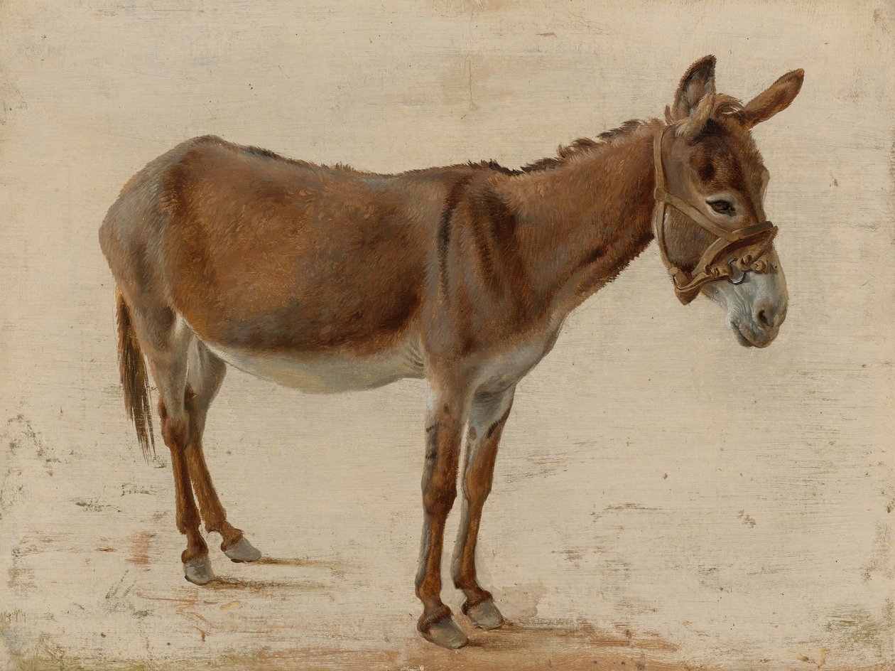 Osioł autorstwa Jacques Laurent Agasse