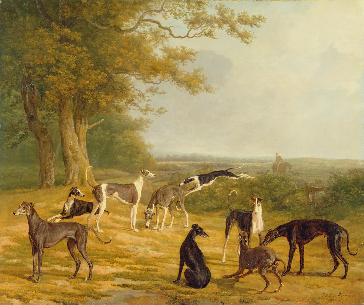 Dziewięć chartów w krajobrazie autorstwa Jacques Laurent Agasse
