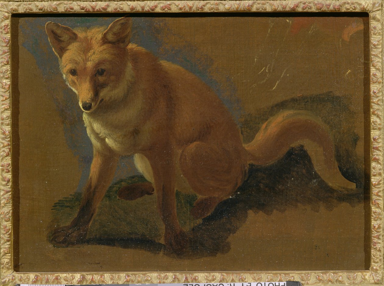 Studium lisa autorstwa Jacques Laurent Agasse