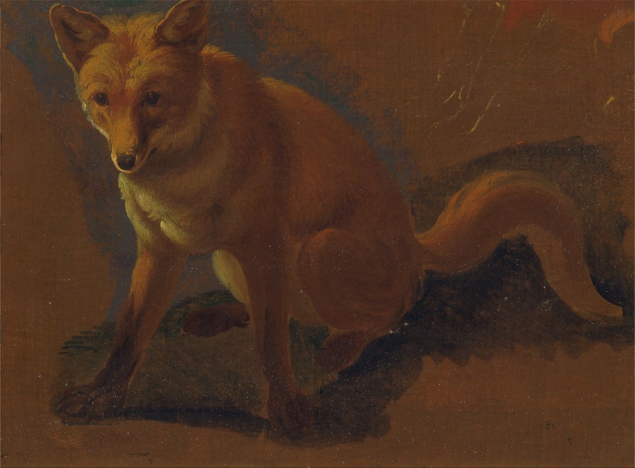 Studium lisa autorstwa Jacques Laurent Agasse