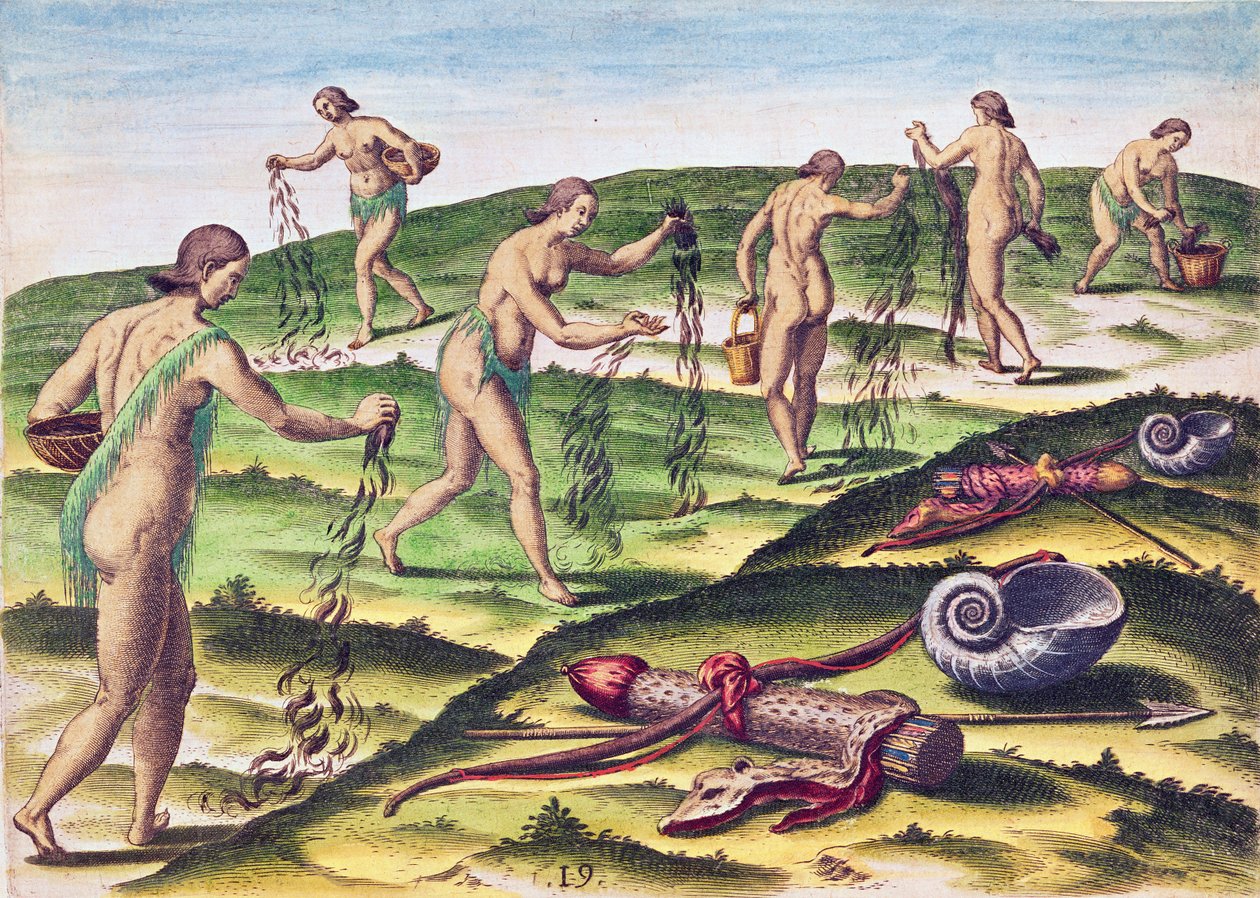How the Women Lament at the Burial Grounds, z „Brevis Narratio...”, ryciny Theodore de Bry (1528-98) opublikowanej we Frankfurcie, 1591 autorstwa Jacques Le Moyne