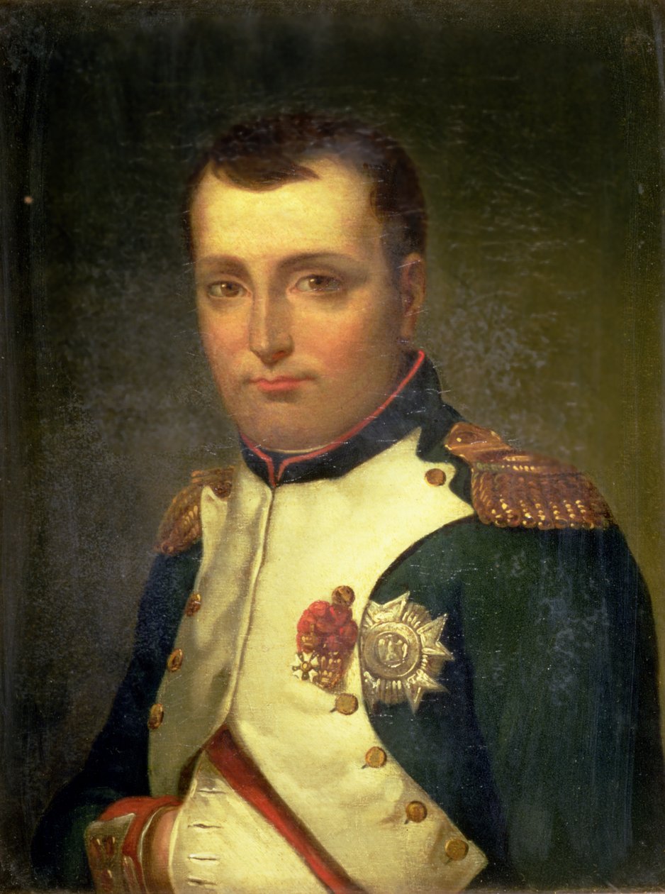 Napoleon Bonaparte (1769-1821) autorstwa Jacques Louis David