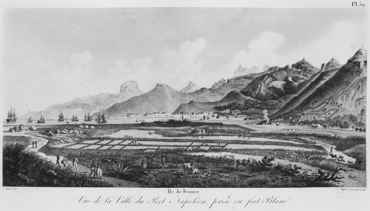 Wyspa Francji (Mauritius), widok na Port-Napoleon (rycina bw) autorstwa Jacques Milbert