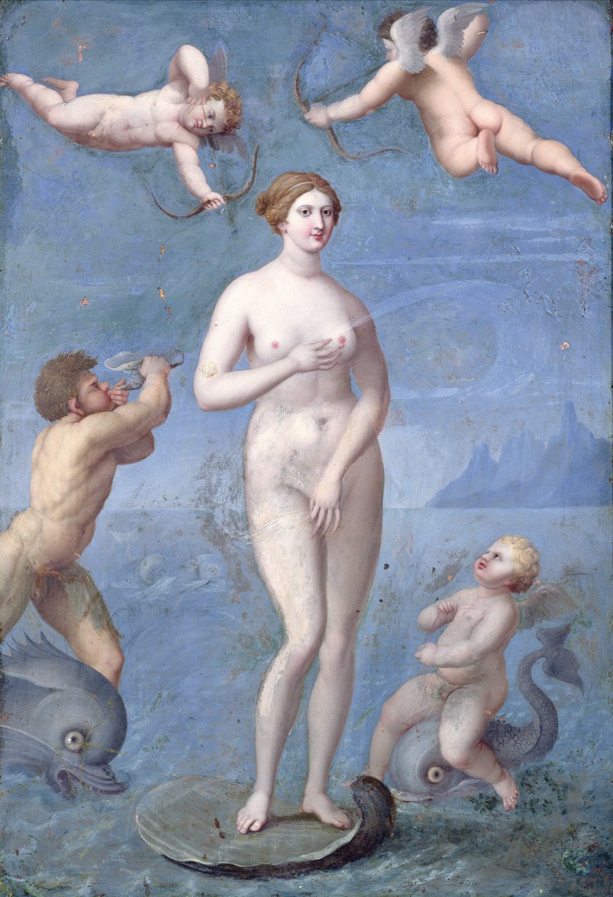 Wenus, 1640 (olej i tempera na miedzi) autorstwa Jacques Stella