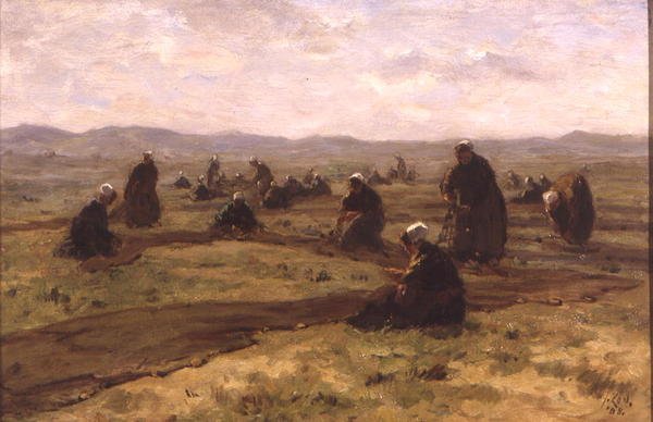 Siatki reperujące (olej na panelu) autorstwa Jacques Abraham Zon