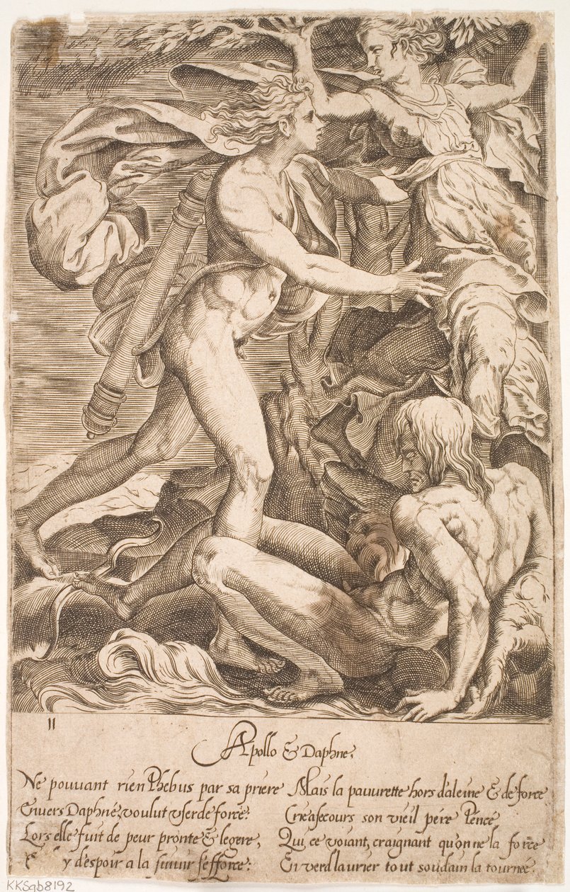 Apollo i Daphne autorstwa Jacques Androuet Ducerceau d.Æ.