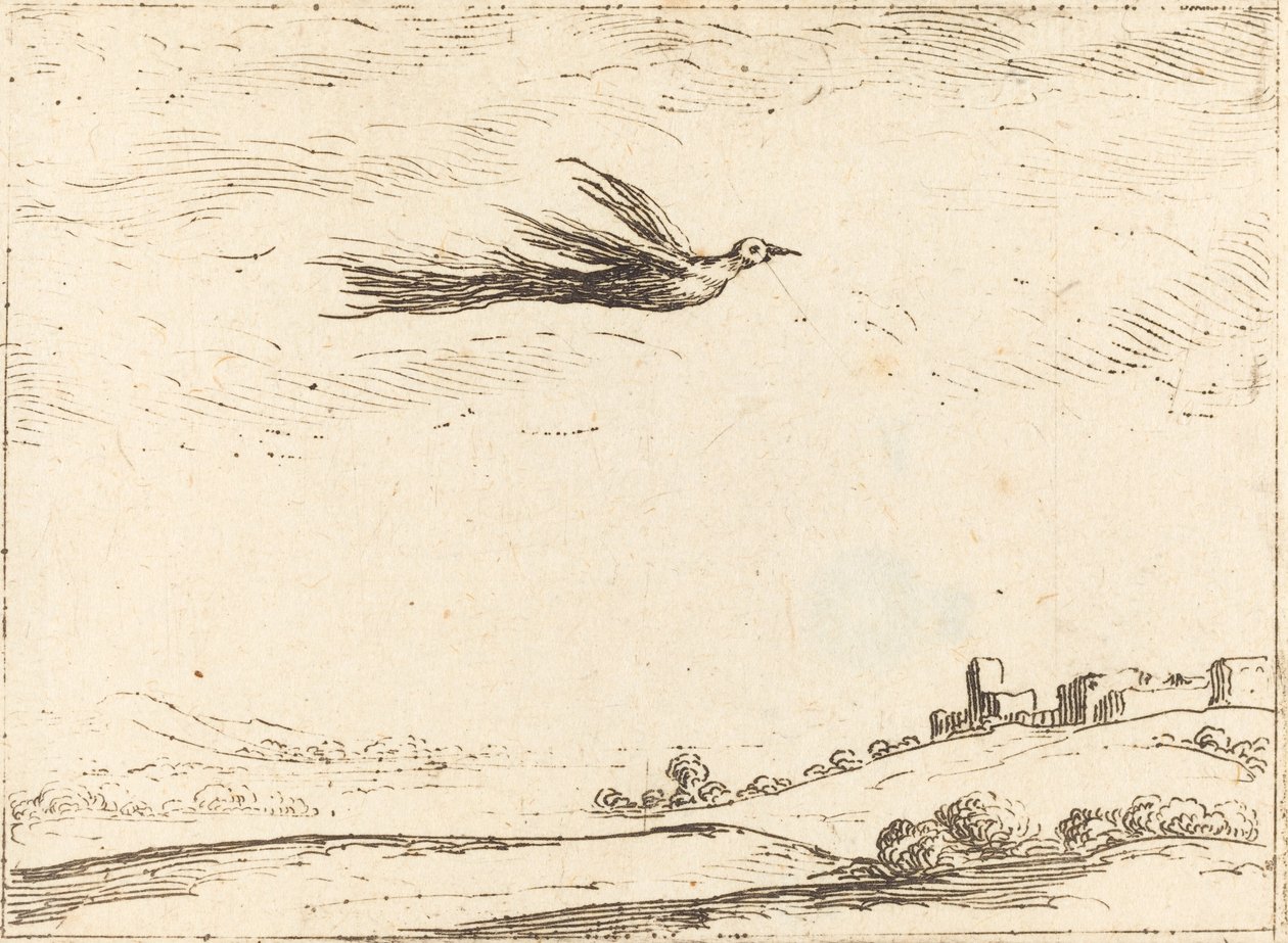 Rajski ptak autorstwa Jacques Callot