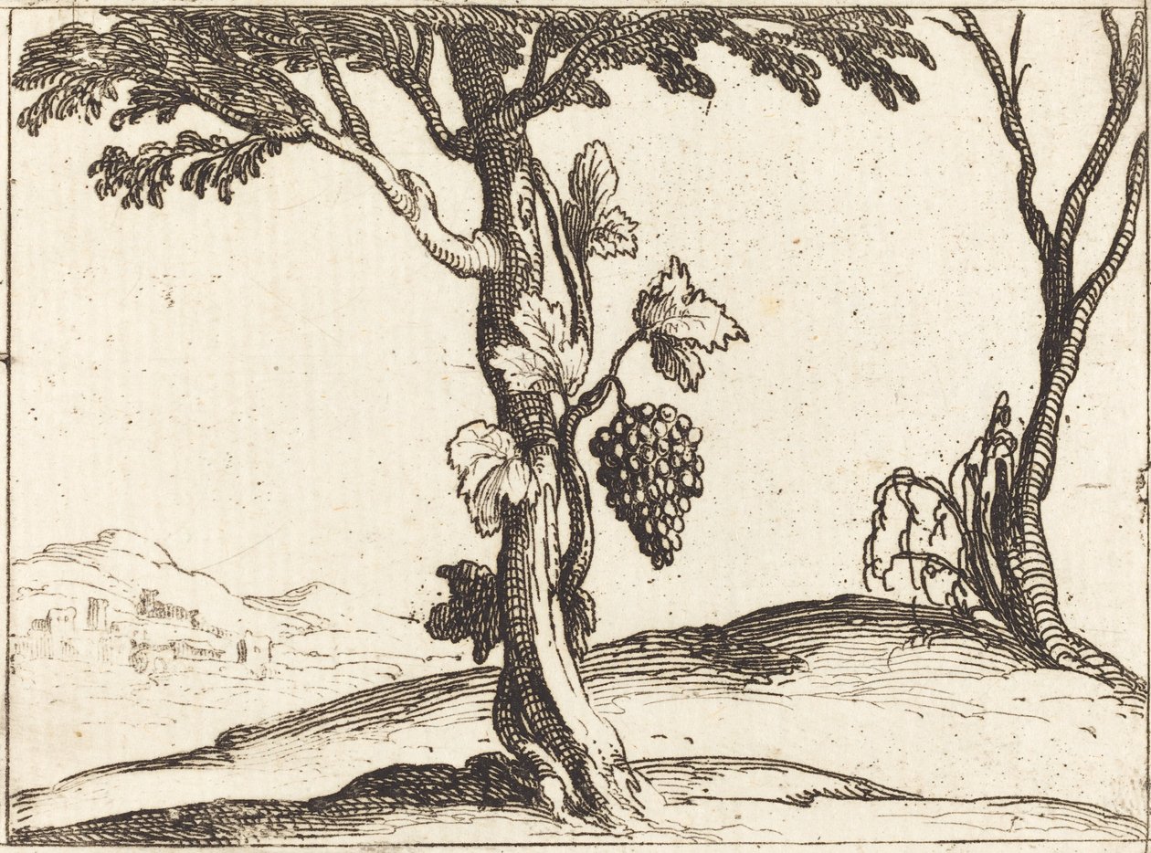 Kiść winogron autorstwa Jacques Callot