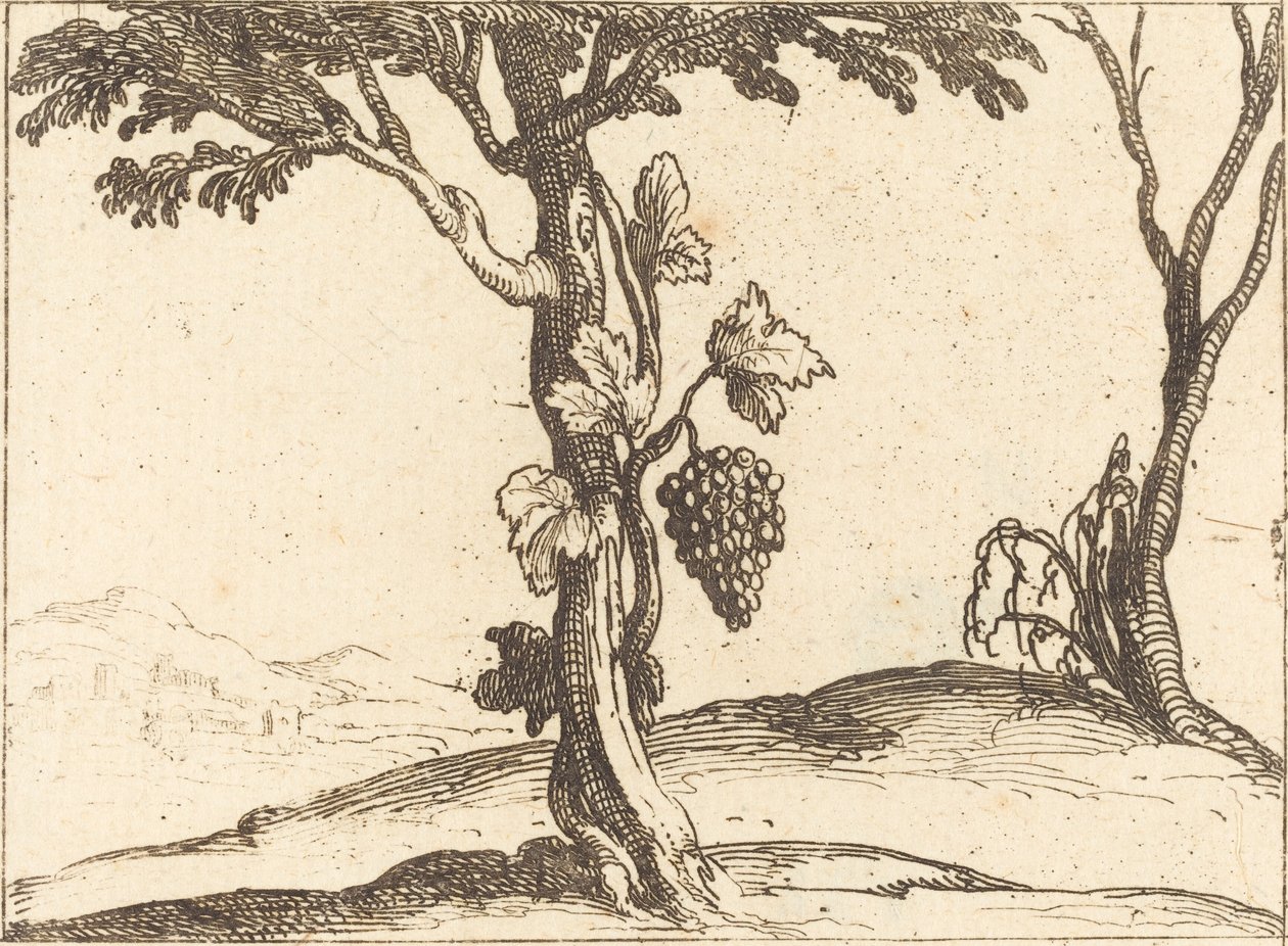 Kiść winogron autorstwa Jacques Callot