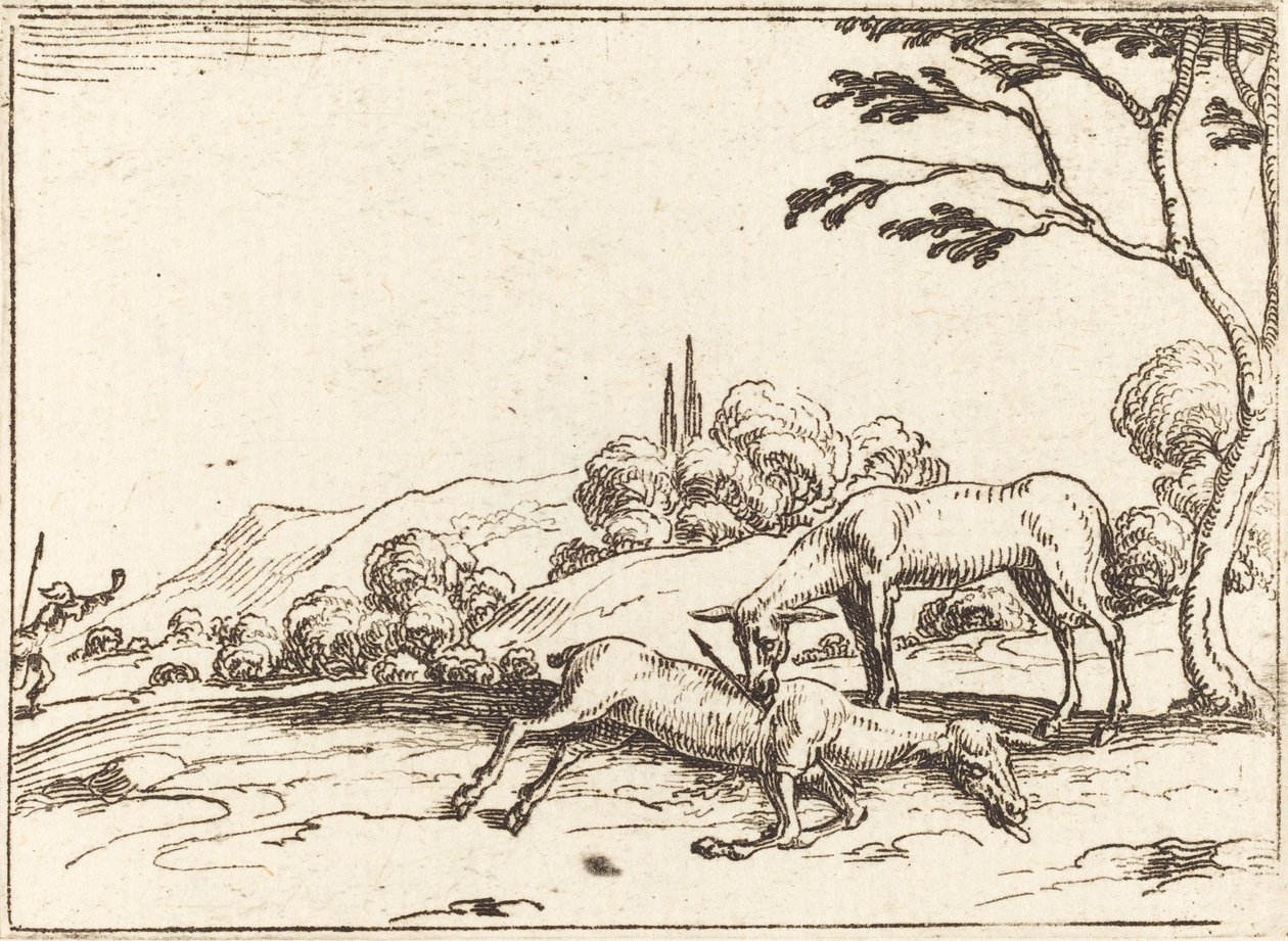 Czy opłakuje swojego źrebaka autorstwa Jacques Callot