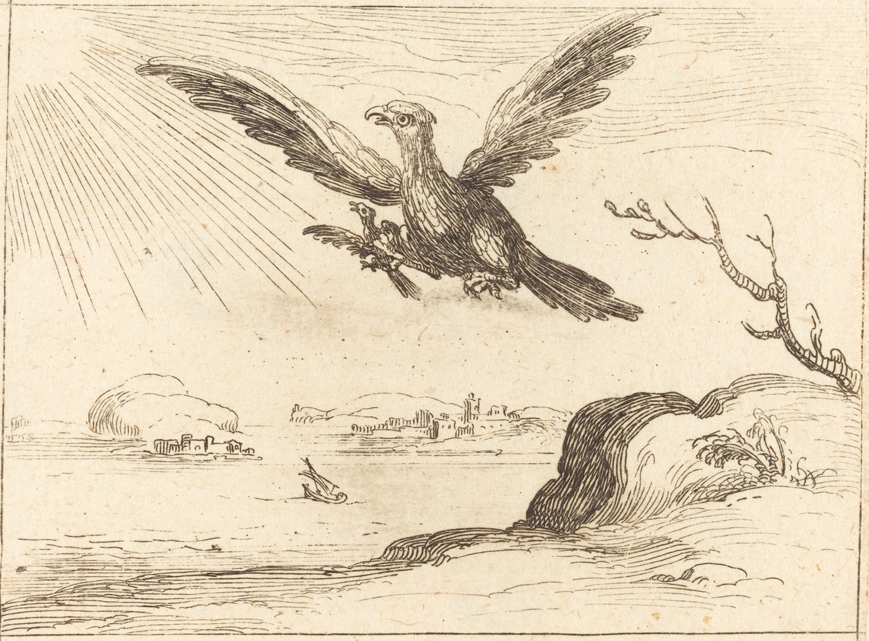 Orzeł i młody. autorstwa Jacques Callot