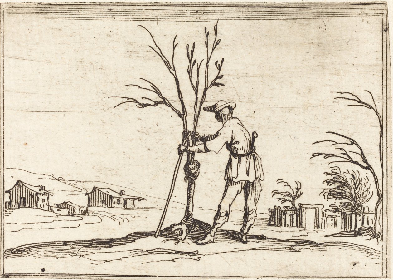 Ogrodnik przycinający drzewo autorstwa Jacques Callot