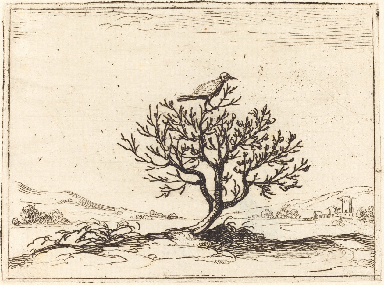 Słowik w krzaku, 1628. autorstwa Jacques Callot