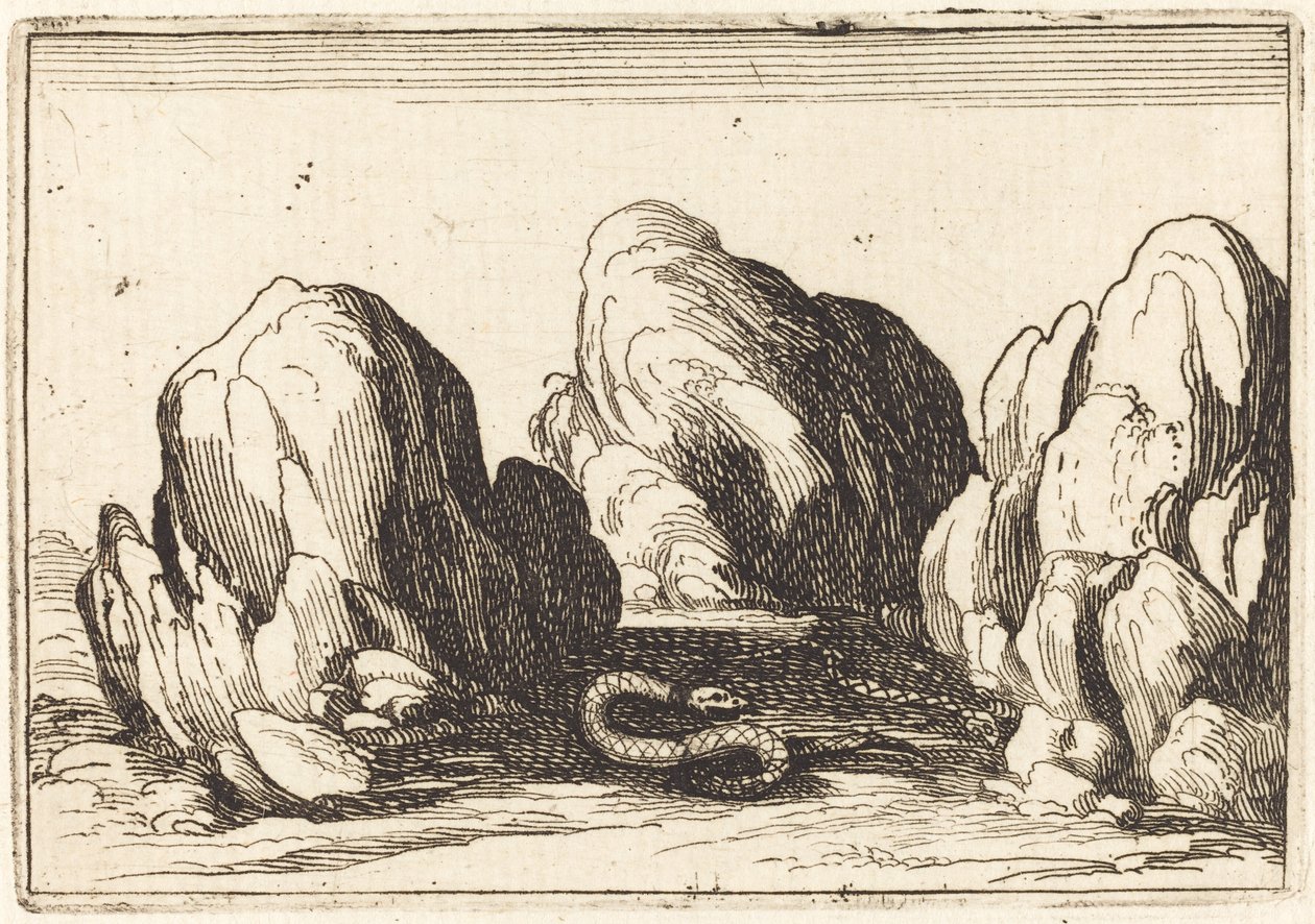 Wąż, 1628. autorstwa Jacques Callot