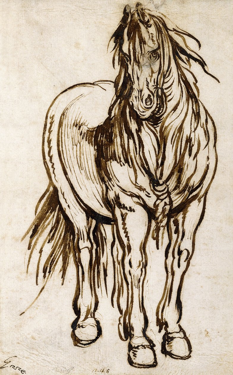 Studium konia, autorstwa Jacques Callot