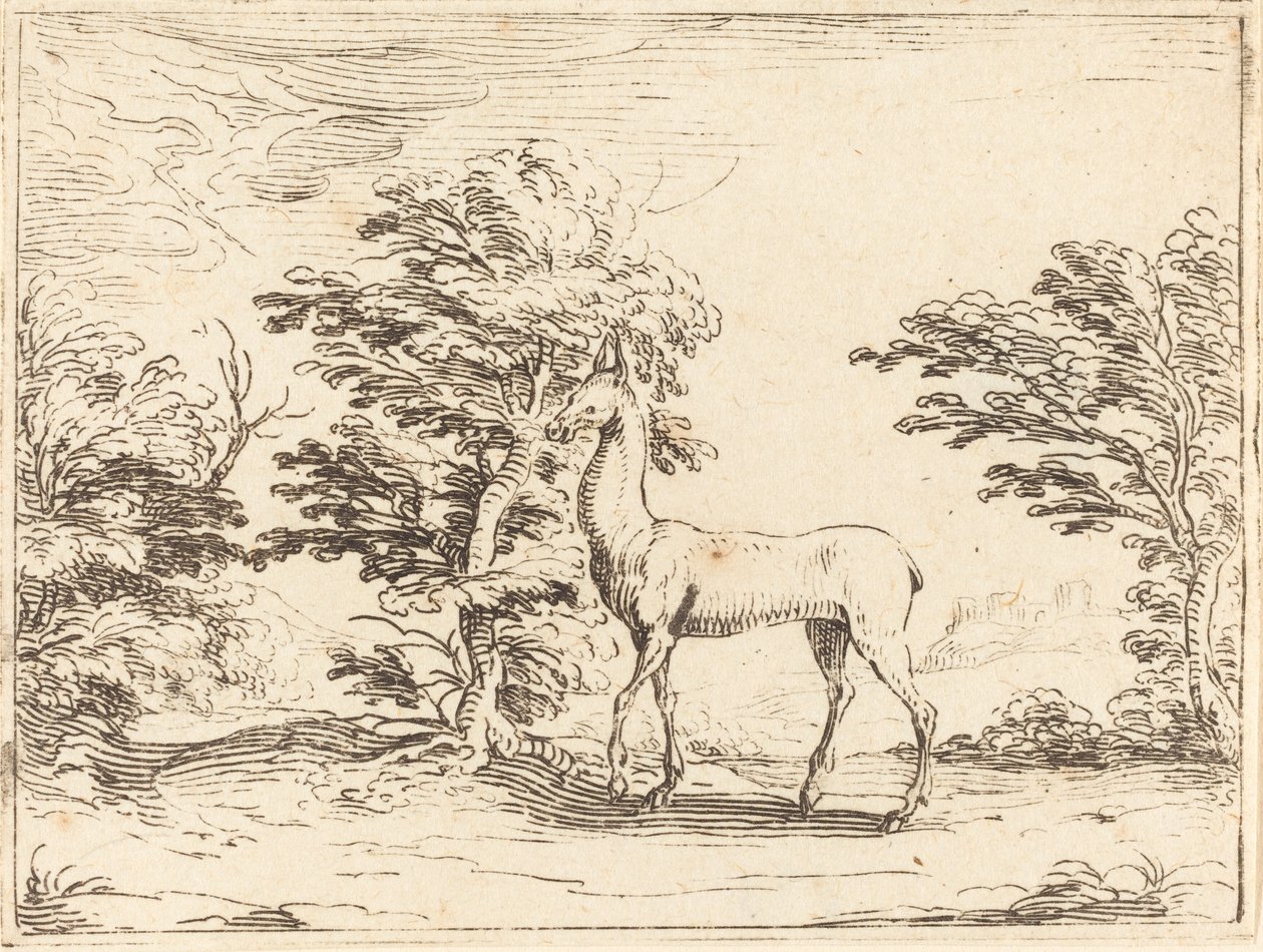 Łania autorstwa Jacques Callot