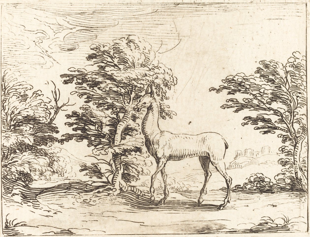 Łania autorstwa Jacques Callot