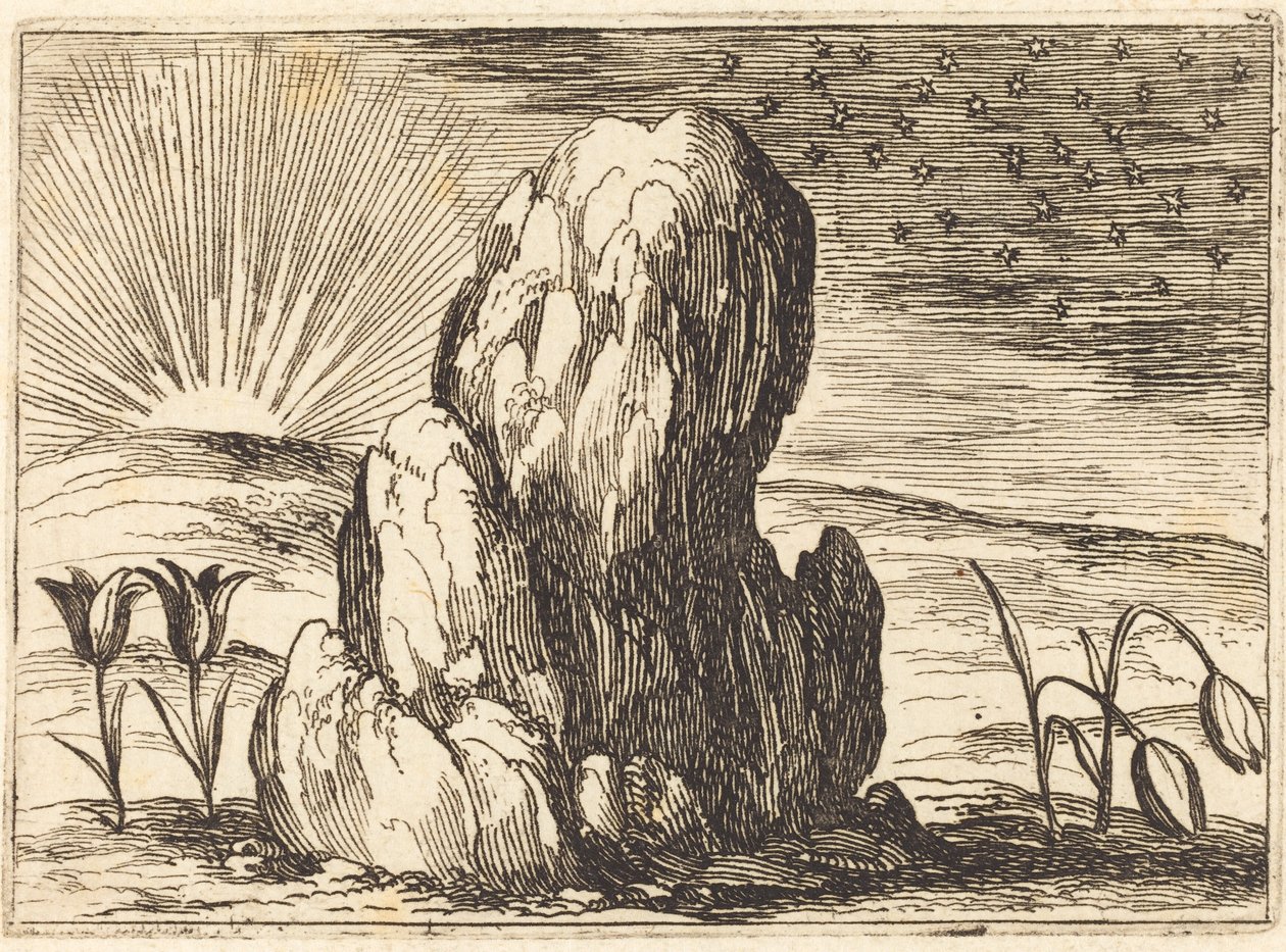 Tulipany i słońce, 1628. autorstwa Jacques Callot