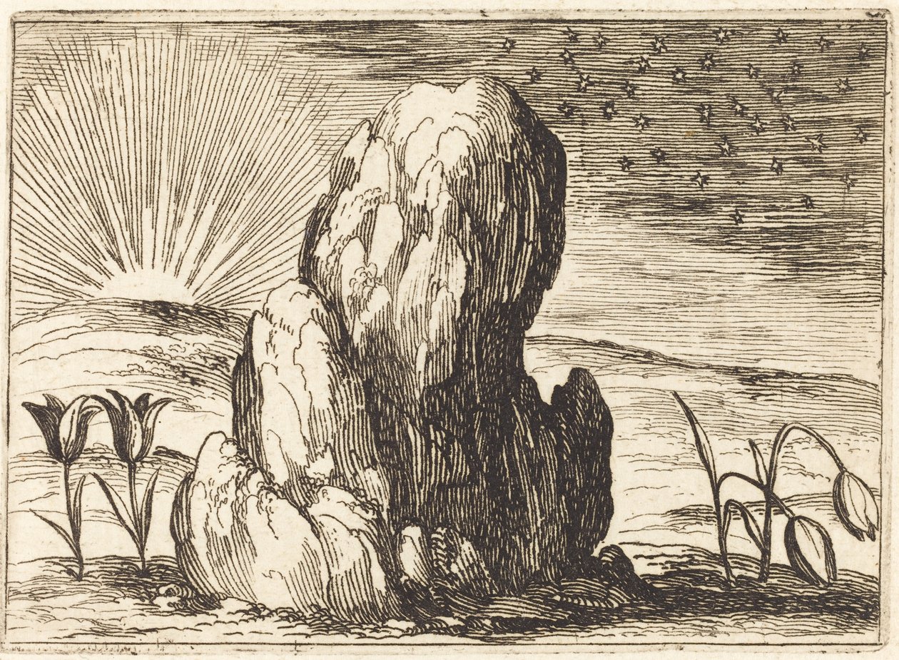 Tulipany i słońce, 1628. autorstwa Jacques Callot