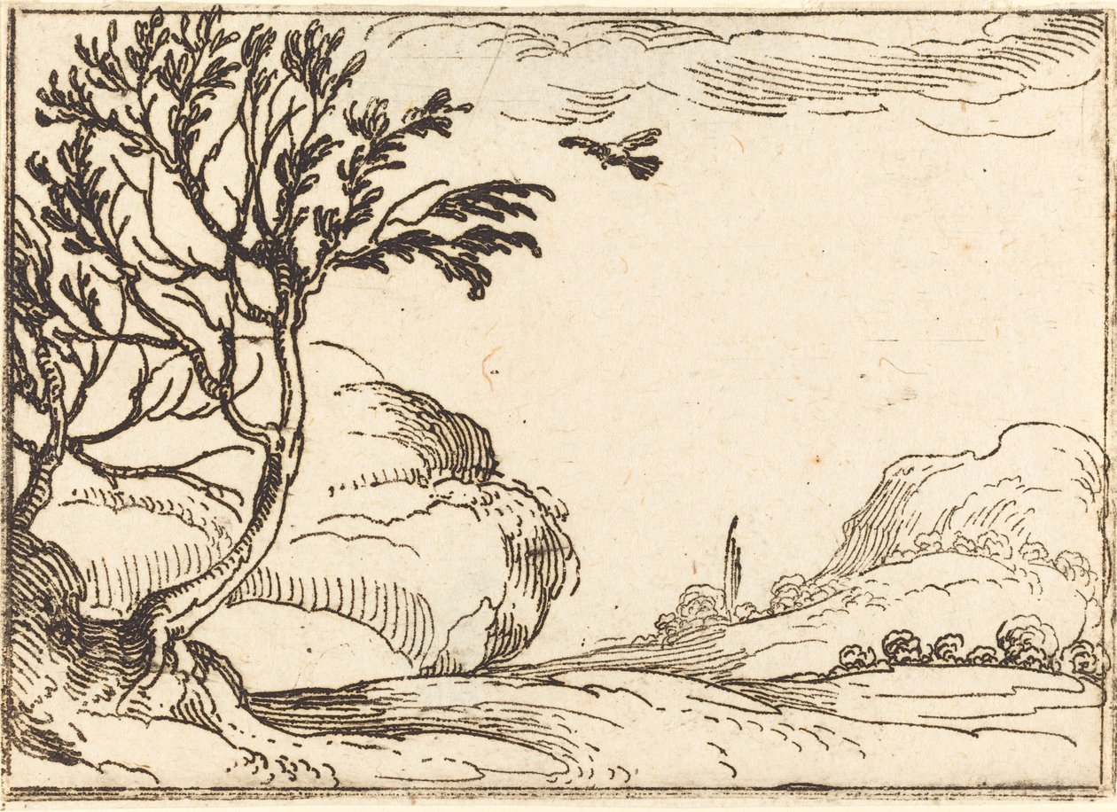 Turtle Dove latający na pustyni autorstwa Jacques Callot