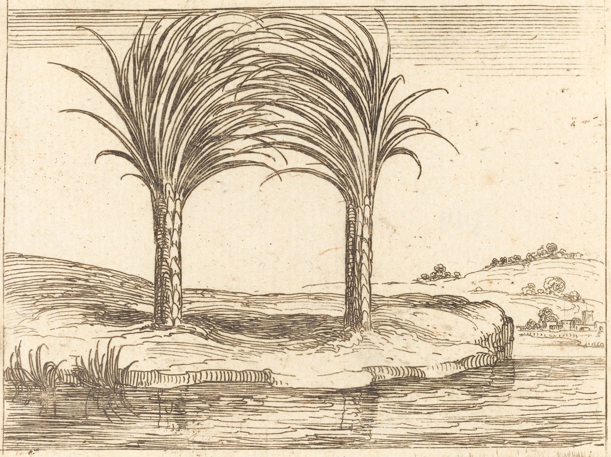 Dwie palmy. autorstwa Jacques Callot