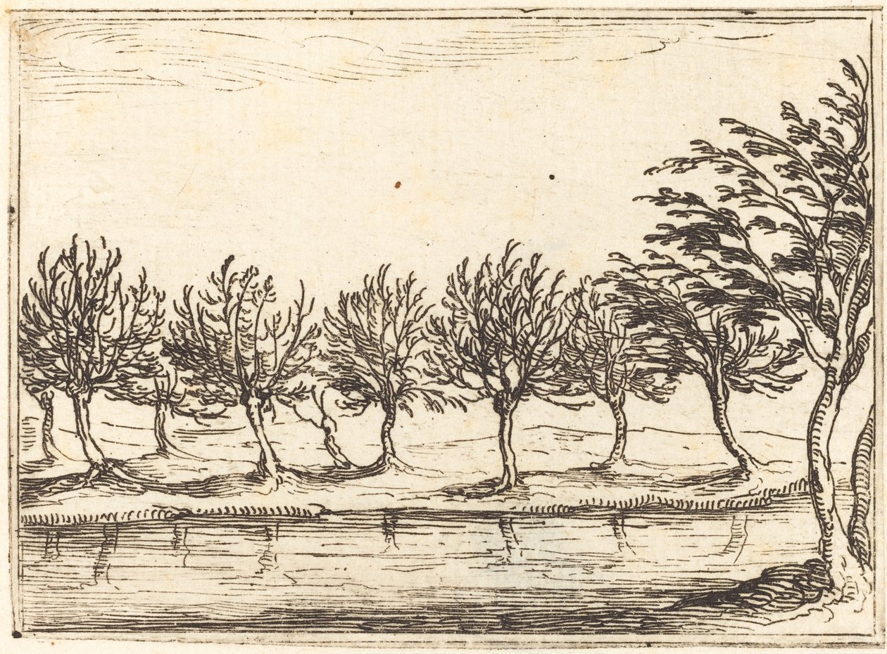 Wierzby nad brzegiem wody autorstwa Jacques Callot