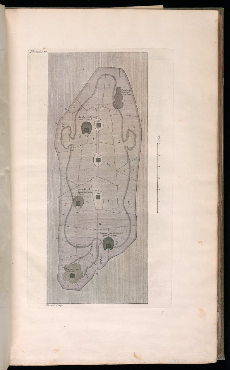 Oprawa (Francja) autorstwa Jacques François Blondel