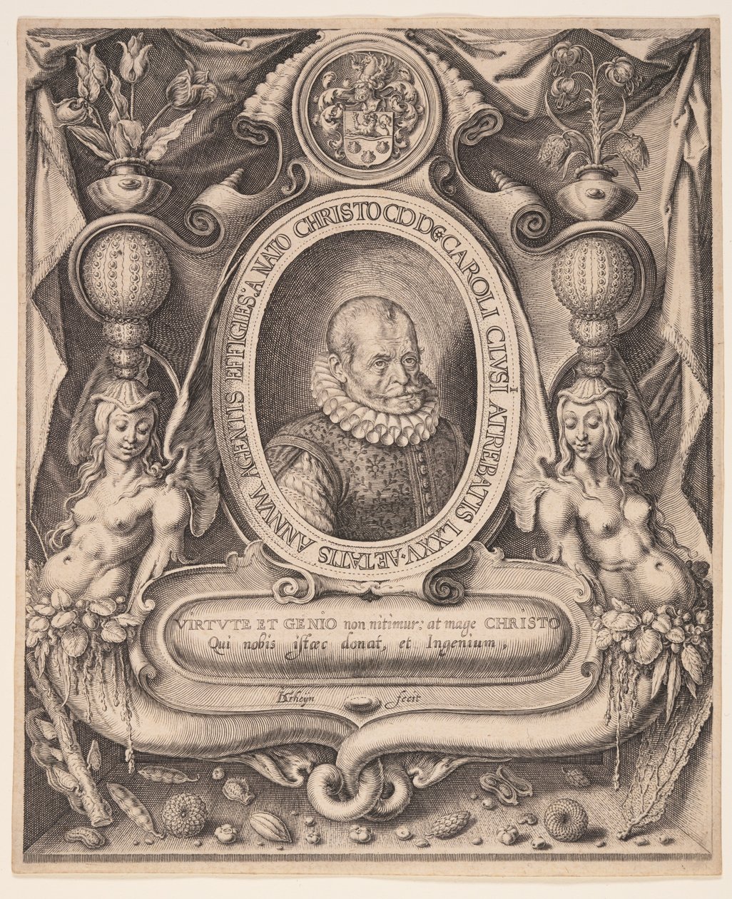 Carolus Clusius, lekarz i botanik autorstwa Jacques de Gheyn II