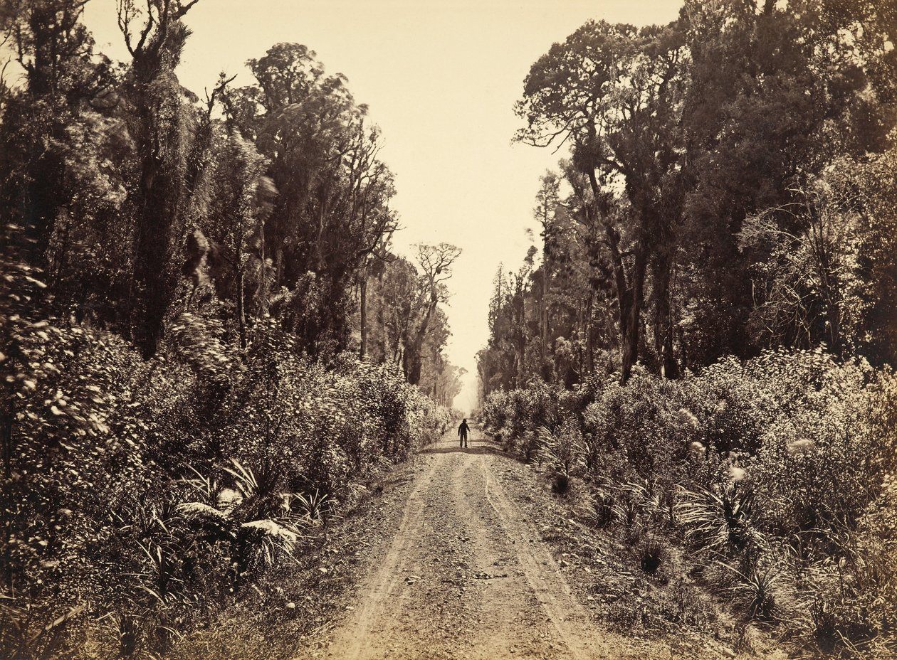 Five Mile Avenue, czterdzieści mil Bush autorstwa James Bragge