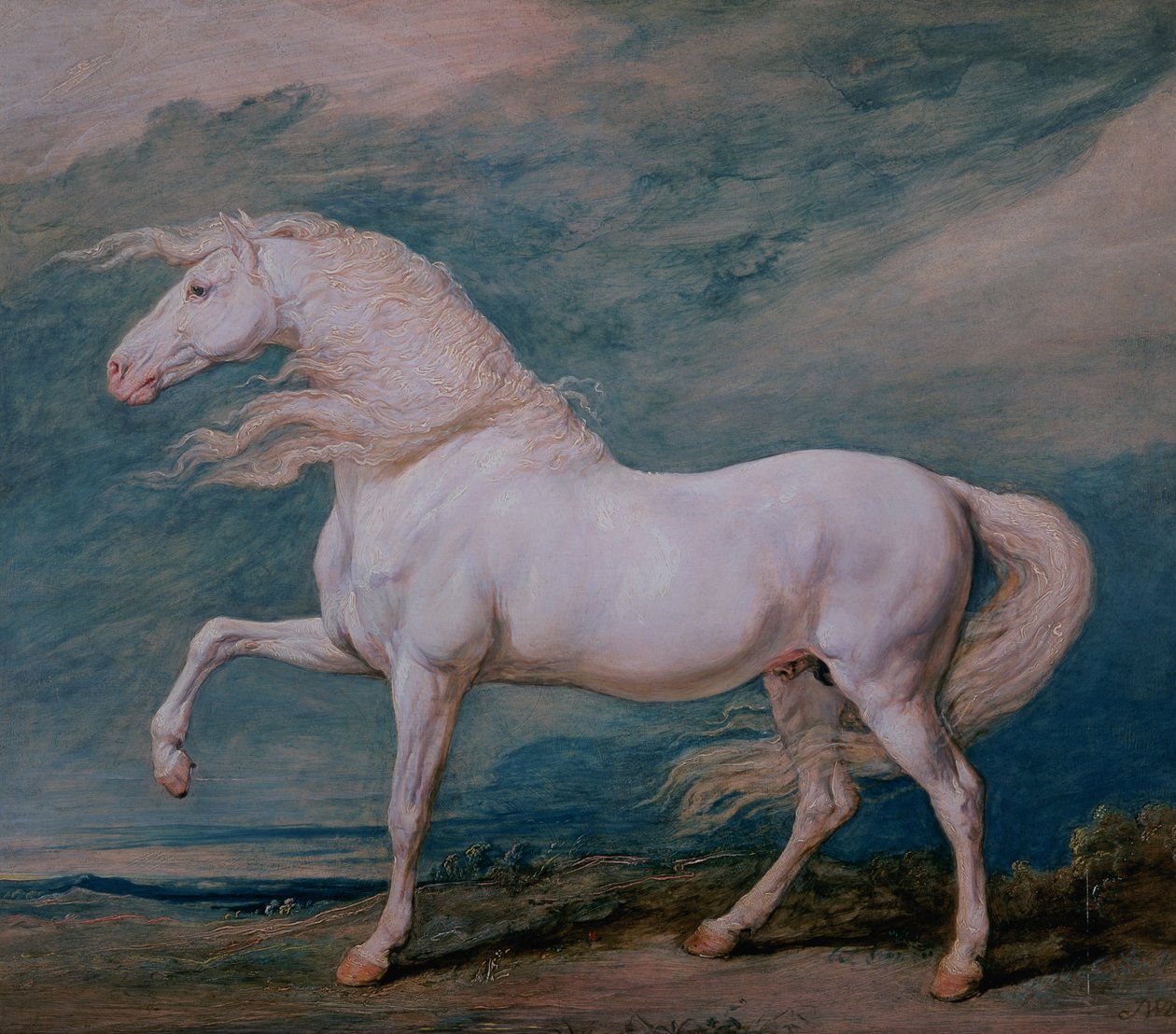 Adonis, biały ogier autorstwa James Ward