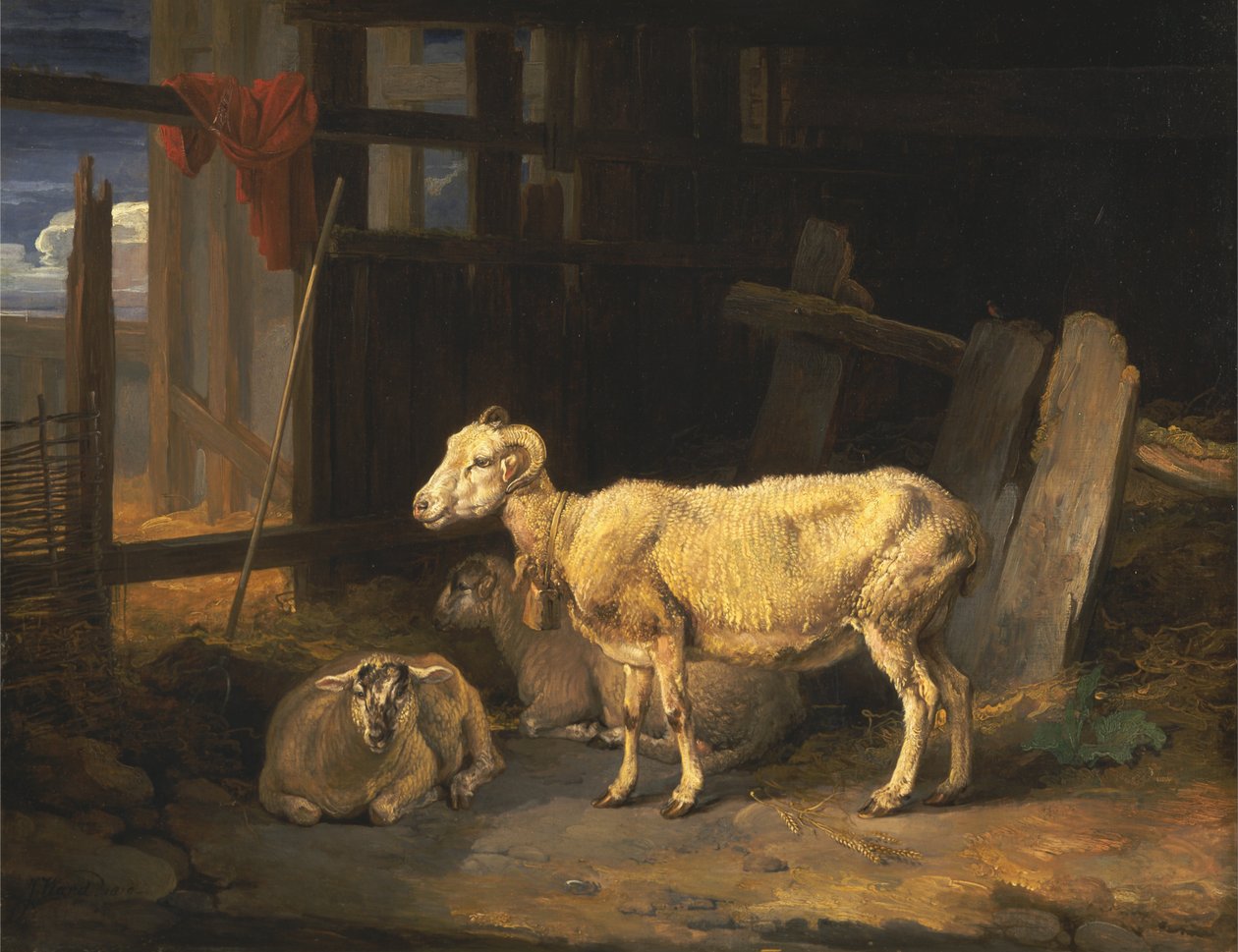 Heath Ewe i Baranki autorstwa James Ward