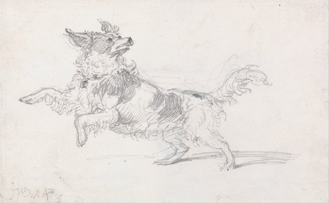 Lady Londonderrys Dog autorstwa James Ward