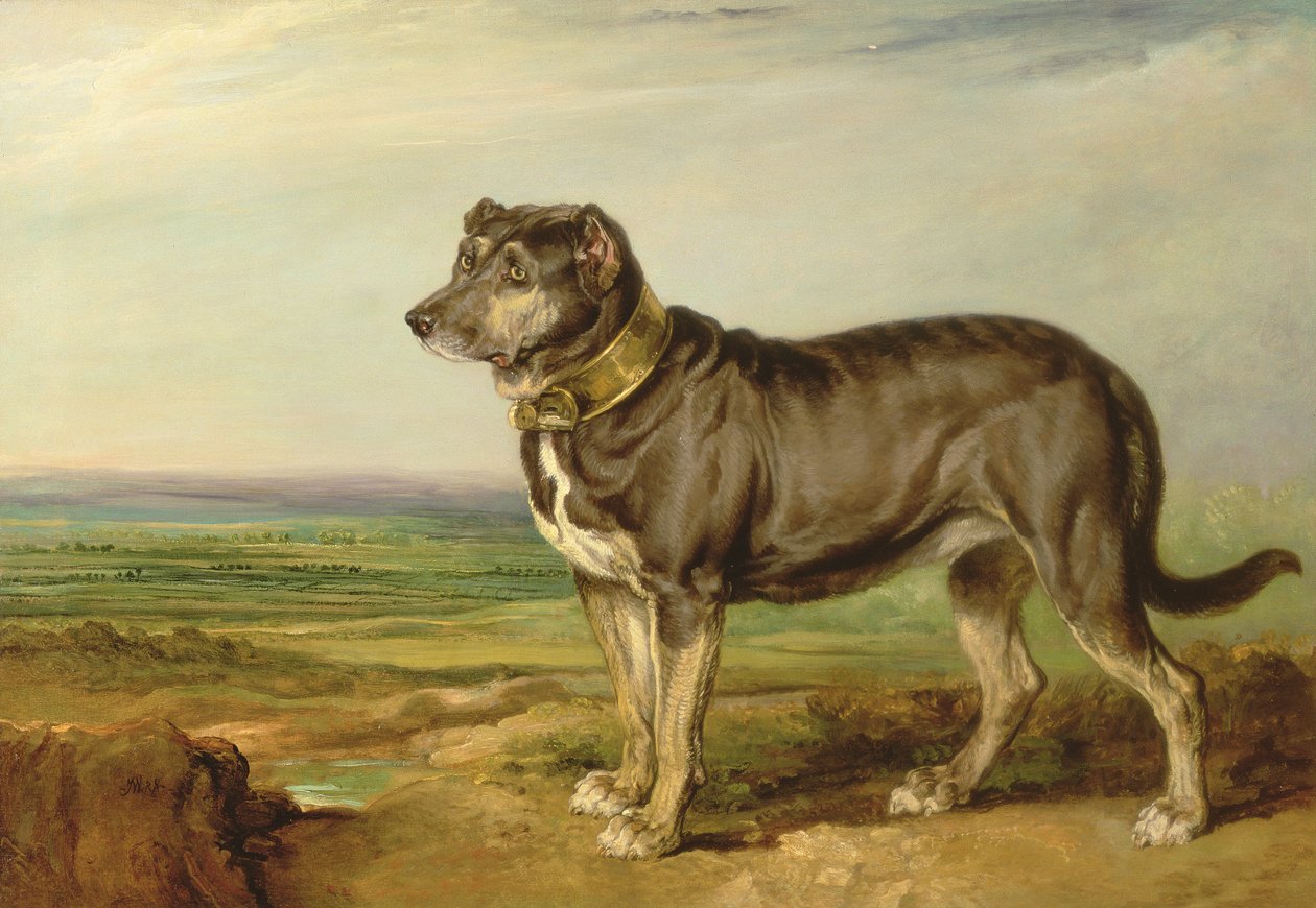Portret "Vica", hiszpańskiego Bloodhounda, ok. 1818-20 r. autorstwa James Ward
