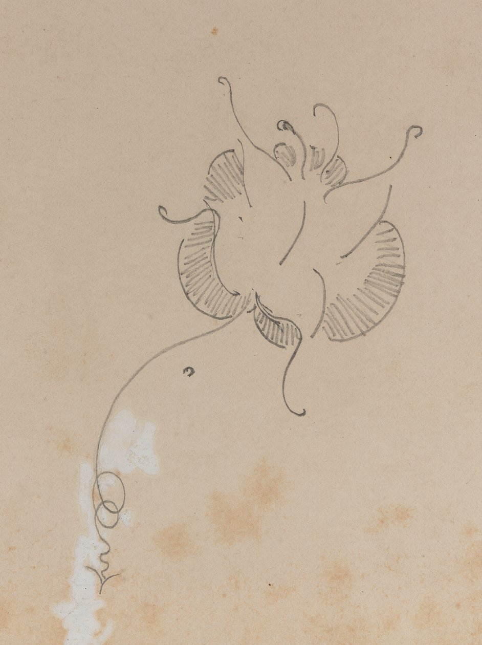 Motyl Whistlera, 1886. autorstwa James Abbott McNeill Whistler