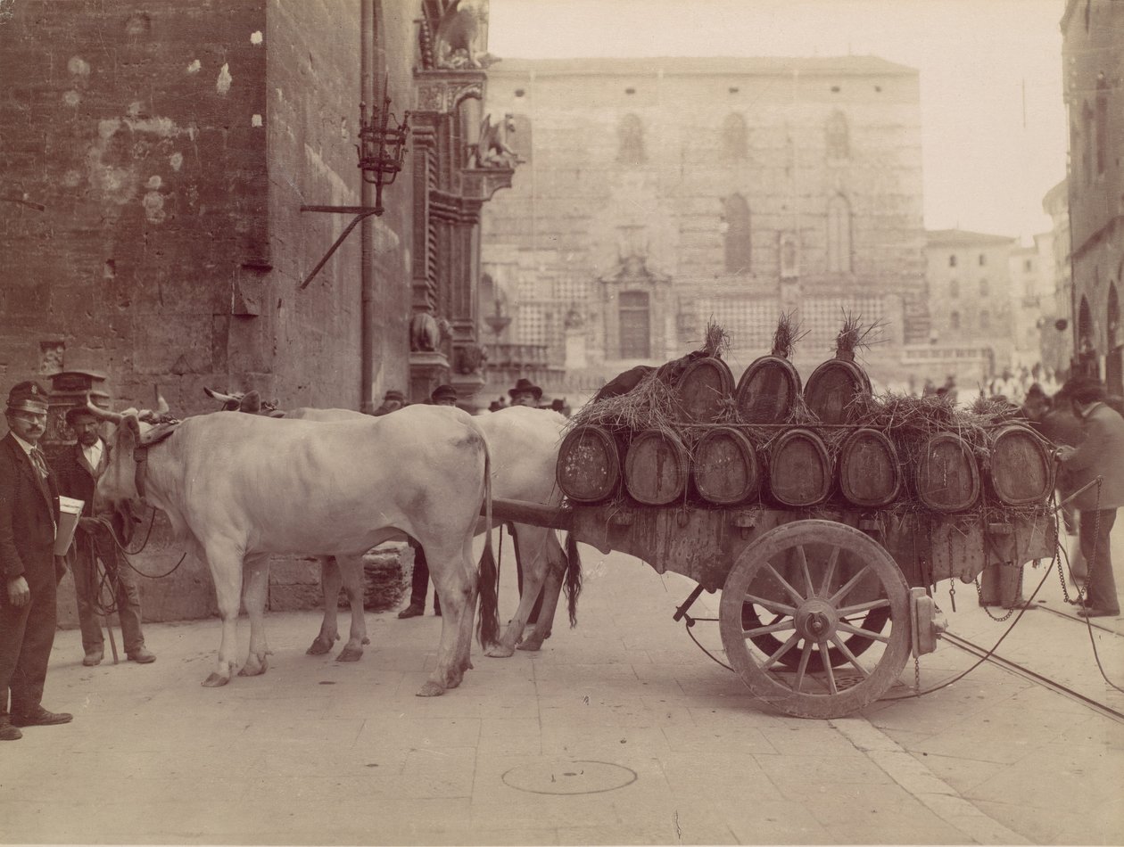 Wóz z wołami, Perugia, lata 80. XIX wieku. autorstwa James Anderson