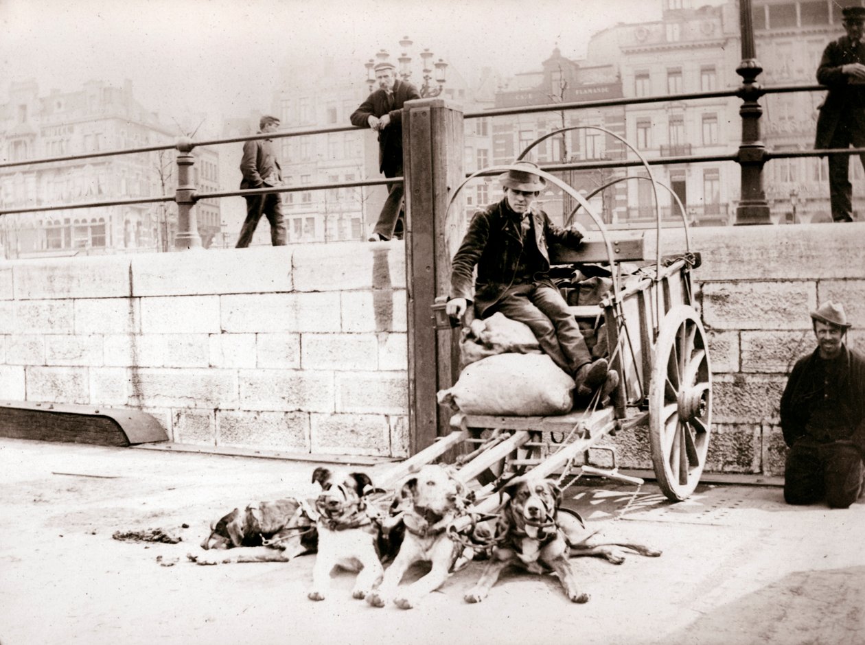 Mężczyzna z wozem dla psów, Antwerpia, 1898. autorstwa James Batkin