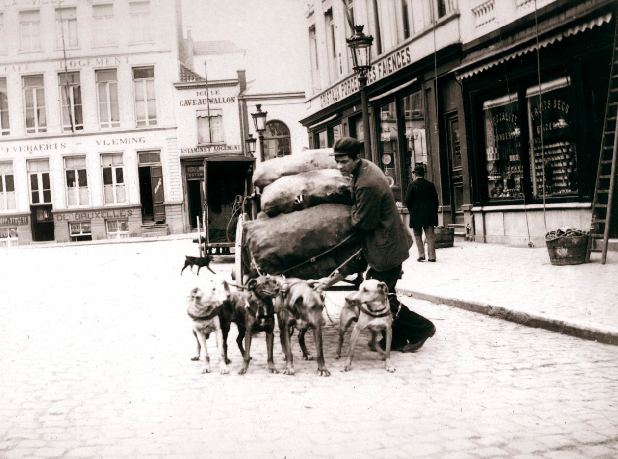 Mężczyzna z psim wózkiem, Antwerpia, 1898 autorstwa James Batkin