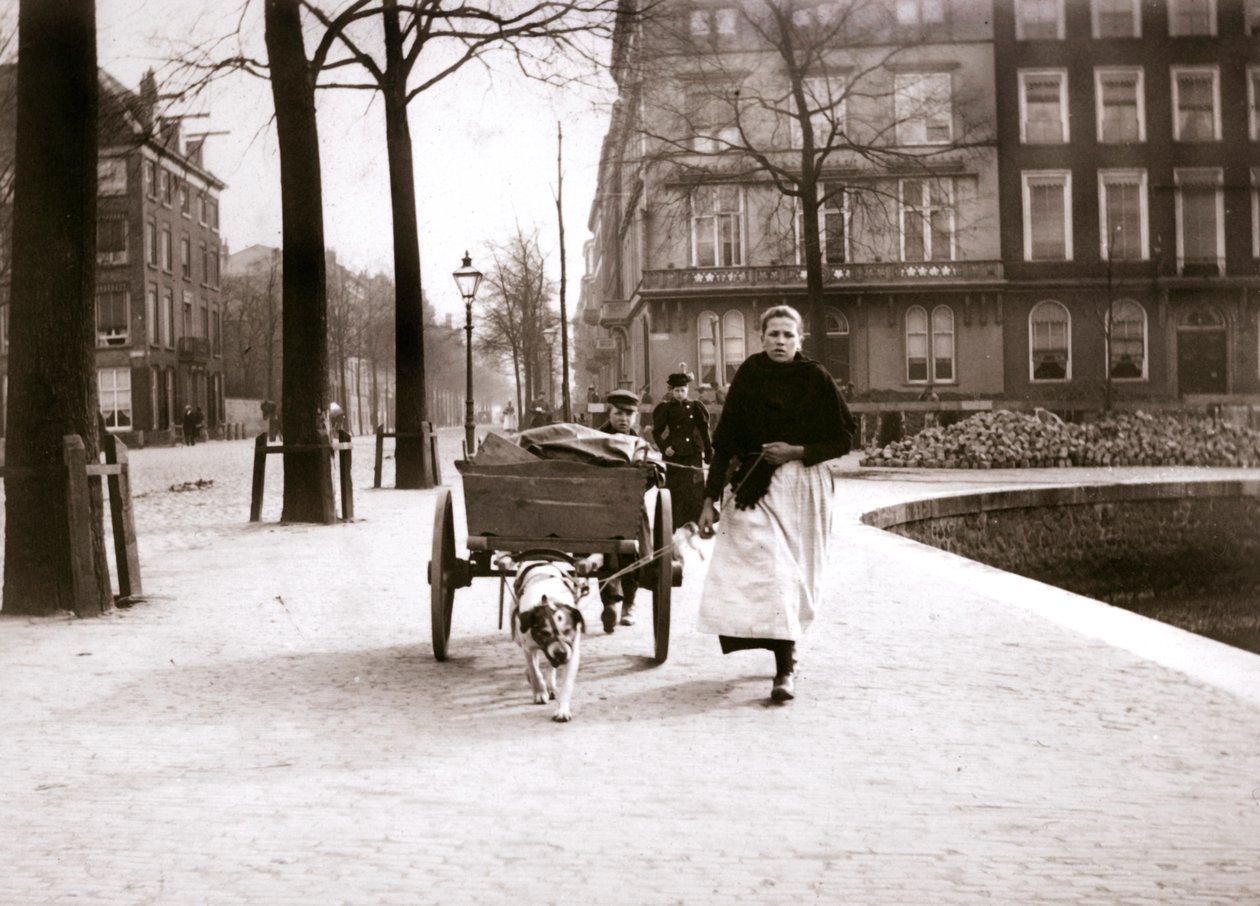 Kobieta z wozem, Rotterdam, 1898. autorstwa James Batkin