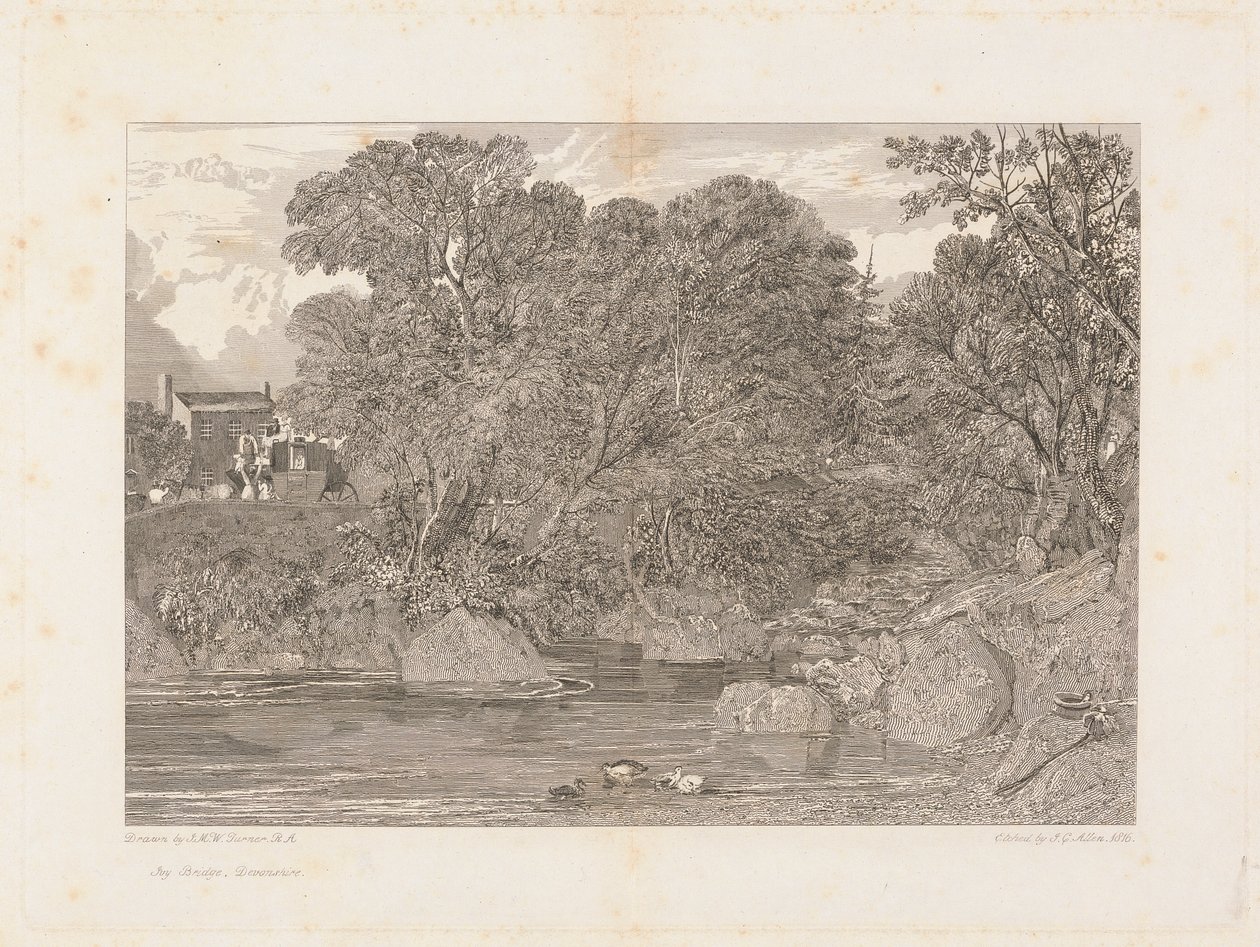 Bluszczowy most, Devonshire autorstwa James C. Allen