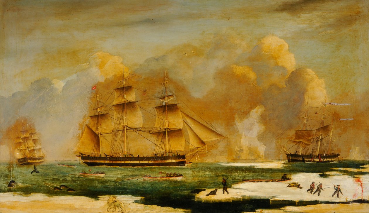 Kadłub Whaler Abram autorstwa James H. Wheldon