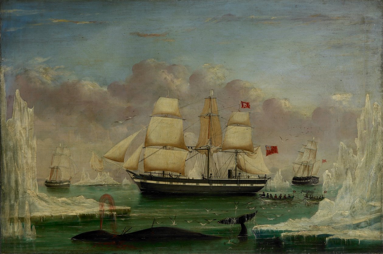 Wielorybnik "Diana" (olej na płótnie) autorstwa James H. Wheldon