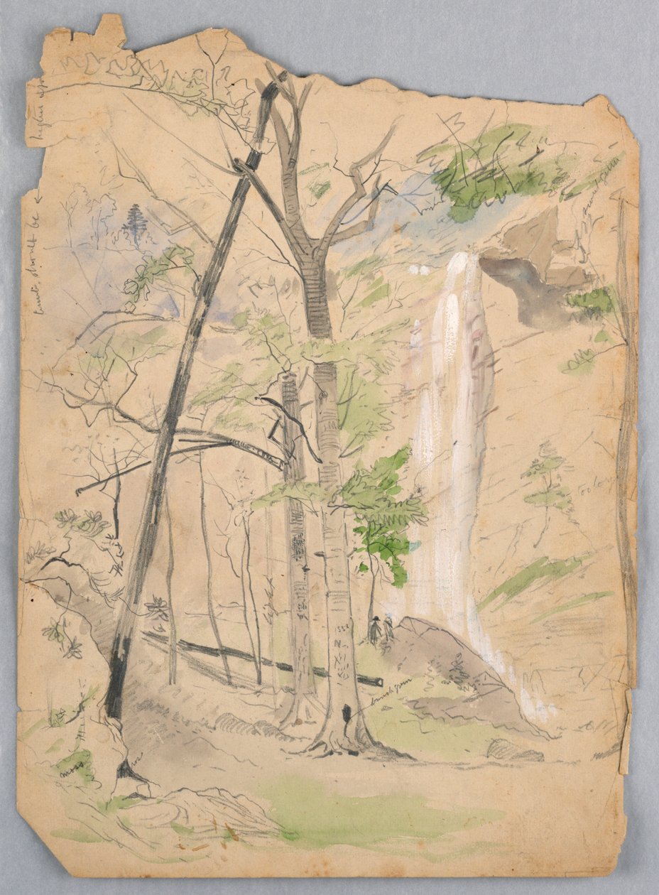 Wodospad autorstwa James Henry Moser