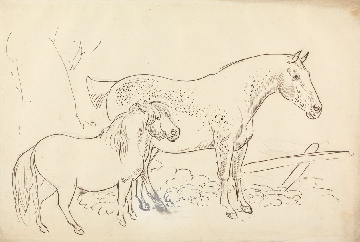 Cavalo e Ponypolish autorstwa James Howe