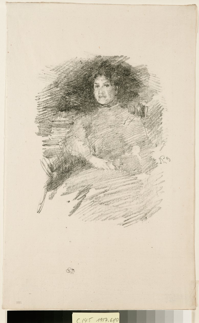 Firelight autorstwa James McNeill Whistler